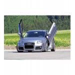 LSD Doors για Audi A3/ S3 (Typ 8P) 3-θυρο